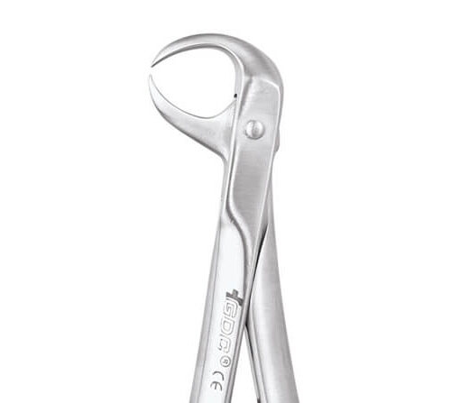 GDC Lower Molar #FX86S